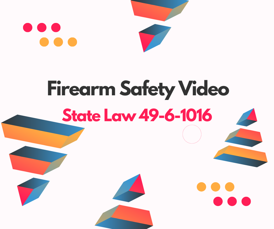 Firearm Safety